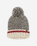 Roots Chunky Cabin Toque - GREY OAT MIX