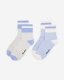 Roots Adult Cotton Cabin Ankle Sock 2 Pack - GLACIAL BLUE PEPPER