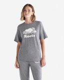 Roots Womens Organic Relaxed Cooper T-shirt - SALT & PEPPER