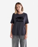 Roots Womens Organic Relaxed Cooper T-shirt - GRAPHITE