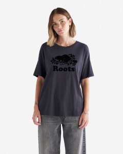 Roots Womens Organic Relaxed Cooper T-shirt - GRAPHITE