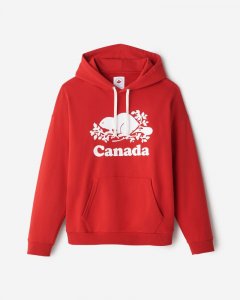 Roots Cooper Canada Kanga Hoodie - SAGE RED