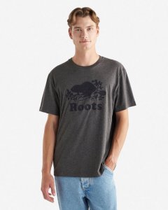 Roots Mens Organic Cooper Beaver T-Shirt - CHARCOAL MIX
