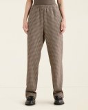 Roots Cypress Twill Pant - SILVER SAGE
