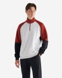 Roots Recover Half Zip Stein - MULTI