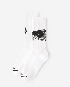 Roots Adult Cooper Beaver Sock - WHITE