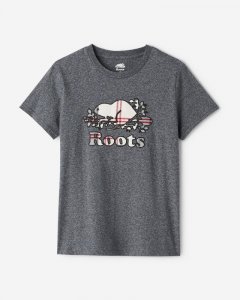 Roots Womens Inglenook Plaid T-shirt - SALT & PEPPER