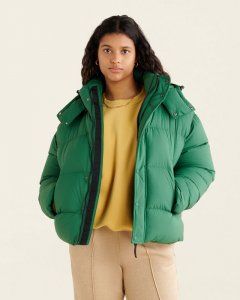 Roots Down Short Puffer Jacket - EDEN GREEN
