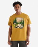 Roots Mens True Nature T-Shirt - NUTMEG BROWN