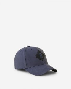 Roots Modern Leaf Roots Baseball Cap - GRAPHITE