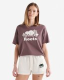 Roots Womens Organic Relaxed Cooper T-Shirt - DESERT MOCHA
