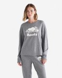 Roots Womens Organic Cooper Long Sleeve T-shirt - SALT & PEPPER