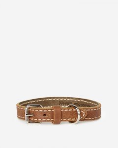 Roots Extra Small Leather Dog Collar - NATURAL