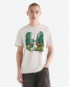 Roots Mens True Nature T-Shirt - WHITE ONYX