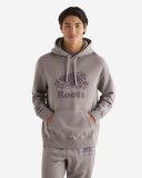 Roots Organic Original Kanga Hoodie - EARL GREY