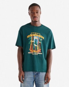 Roots Mens Nature Vistas Relaxed T-Shirt - DARK PINE GREEN