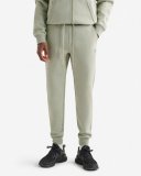 Roots Recover Interlock Jogger - CACTUS GREEN MIX