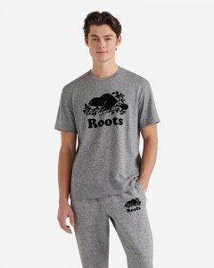 Roots Mens Organic Cooper Beaver T-shirt - SALT & PEPPER