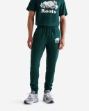 Roots Organic Park Slim Sweatpant - VARSITY GREEN