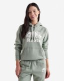 Roots Organic Original Kanga Hoodie - EUCALYPTUS
