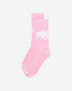 Roots Adult Cooper Beaver Sock - PRISM PINK