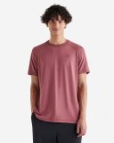 Roots Renew Short Sleeve T-Shirt - RAISIN RED