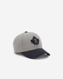 Roots Modern Leaf Roots Baseball Cap - GREY ORE