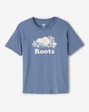 Roots Womens Organic Relaxed Cooper T-Shirt - SATIN BLUE