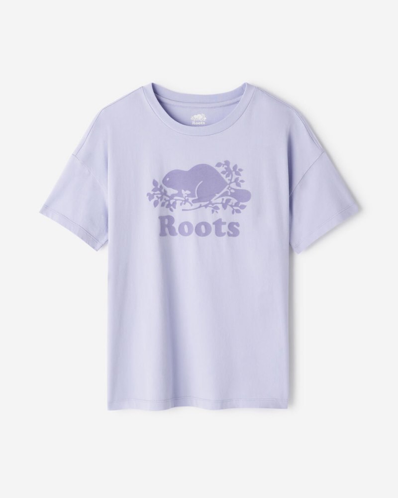 Roots Womens Organic Relaxed Cooper T-Shirt - COSMIC SKY